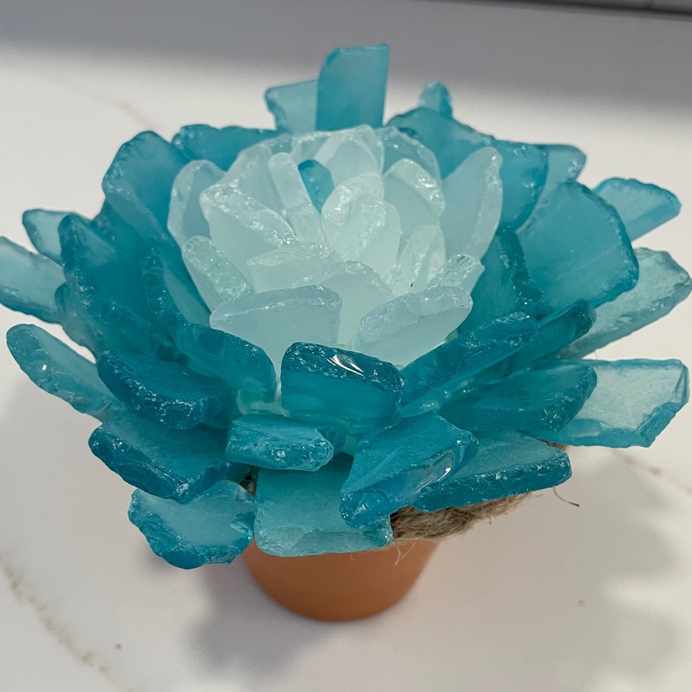 Handmade Seaglass Succulent
